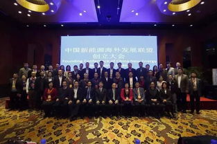 王麗博士出席中國新能源海外發展聯盟創立大會 理事 中國與全球化智庫